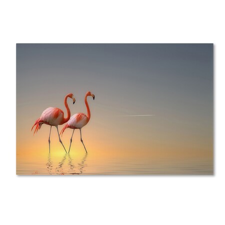 Trademark Fine Art Anna Cseresnjes 'Serenity Ii' Canvas Art, 16x24 1X00120-C1624GG